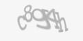Защитный код